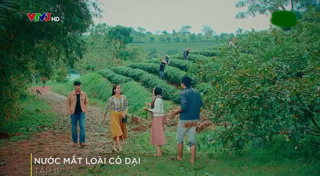 Nước mắt loài cỏ dại - Tập 11: Thấy em gái có bạn trai, anh họ lại ghen ra mặt - Ảnh 3.