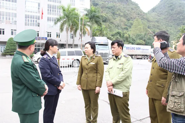 Tăng cường kiểm soát tình trạng xuất khẩu thịt lợn qua biên giới - Ảnh 1.