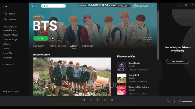 BTS cán mốc 3 tỉ lượt stream trên Spotify trong năm 2019 - Ảnh 1.