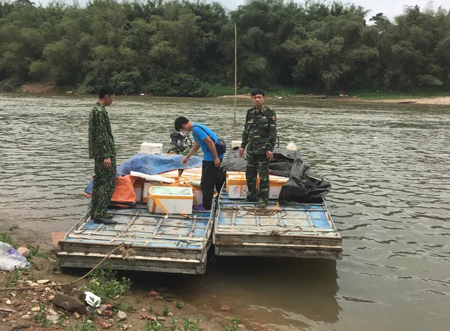 Bắt giữ và tiêu hủy hơn 1 tấn cá đối đông lạnh nhập lậu ở Quảng Ninh - Ảnh 1.