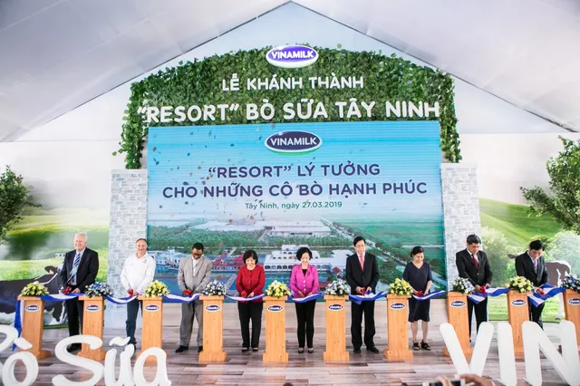 “Resort” bò sữa Vinamilk Tây Ninh - Ngôi nhà của những cô bò hạnh phúc - Ảnh 3.