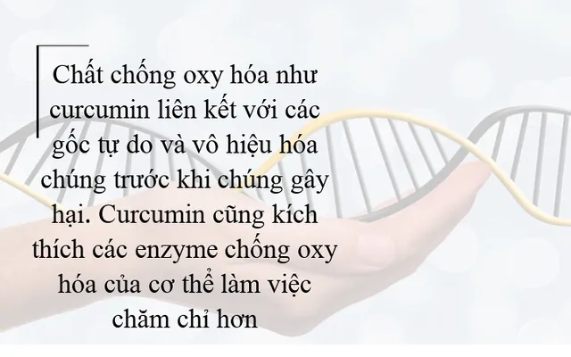 Tác dụng tuyệt vời của nghệ đối với cơ thể bạn - Ảnh 3.