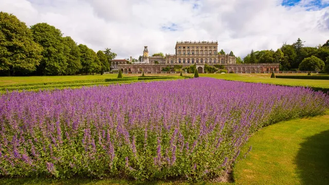 Cliveden - Khách sạn sân bay lâu đời nhất thế giới - Ảnh 10.