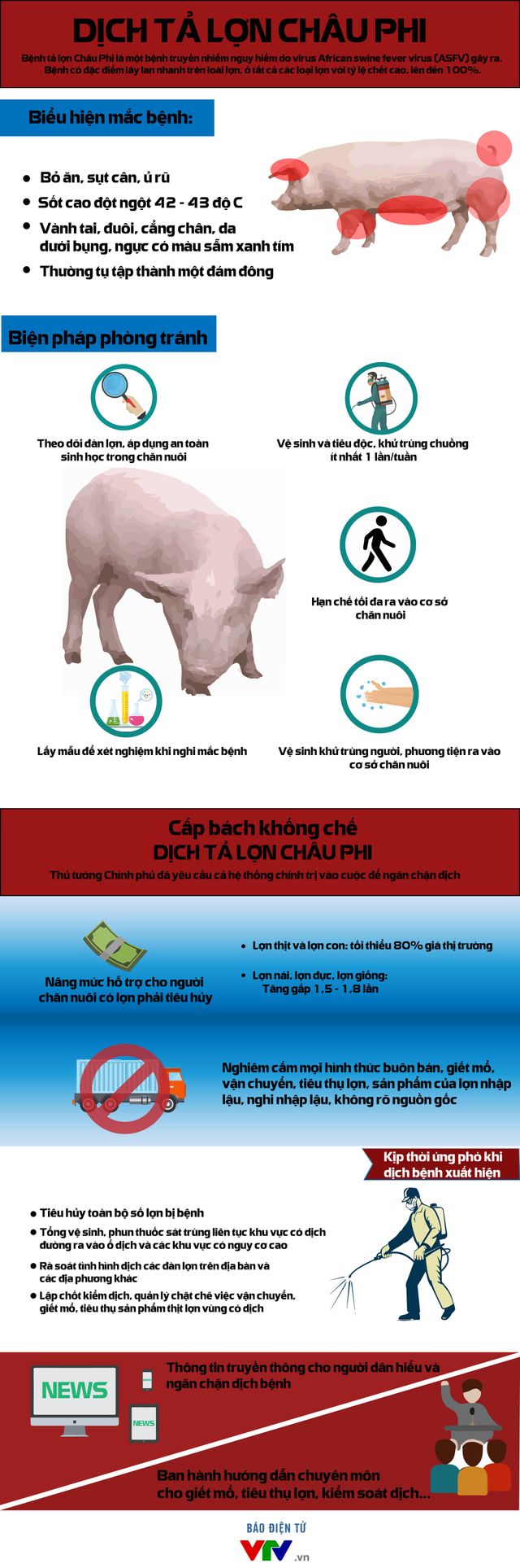 [INFOGRAPHIC]Những điều cần biết về dịch tả lợn châu Phi - Ảnh 1.