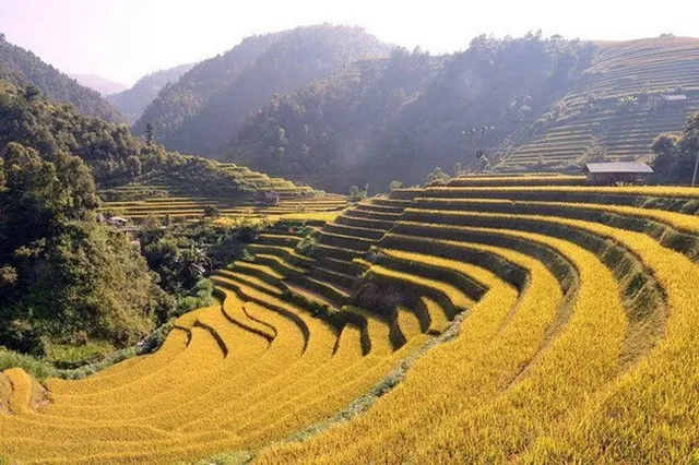 Mù Cang Chải lọt top địa điểm sắc màu nhất thế giới - Ảnh 1. Mù Cang Chải lọt top địa điểm sắc màu nhất thế giới - Ảnh 1.