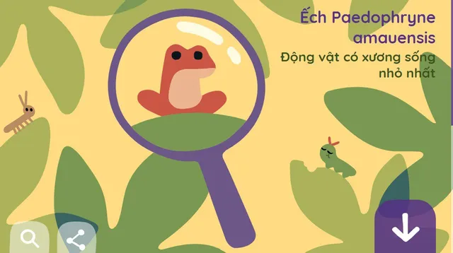 Khám phá thế giới với Google trong Ngày Trái Đất 2019 - Ảnh 3. Khám phá thế giới với Google trong Ngày Trái Đất 2019 - Ảnh 3.