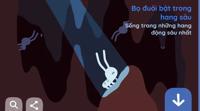 Khám phá thế giới với Google trong Ngày Trái Đất 2019 - Ảnh 6. Khám phá thế giới với Google trong Ngày Trái Đất 2019 - Ảnh 6.