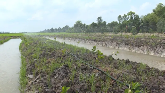 Nông dân đầu tư điện mặt trời để tưới vườn