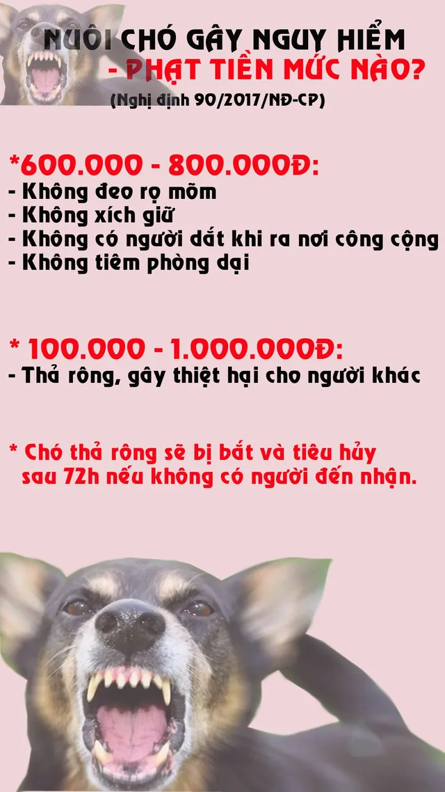 Nuôi chó gây nguy hiểm, phạt tiền mức nào? - Ảnh 1.