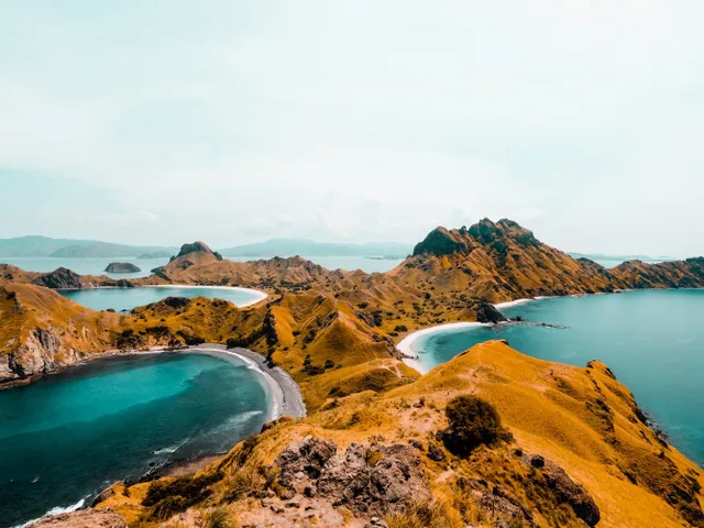 Indonesia: Hòn đảo Rồng Komodo đóng cửa do nạn săn bắt động vật - Ảnh 1.