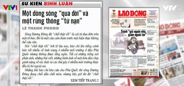 Mẹ thiên nhiên kêu cứu: Một dòng sông qua đời, một rừng thông tử nạn - Ảnh 2.