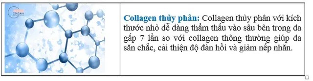 5 lý do nên chọn kem chống lão hóa 22Again - Ảnh 2.