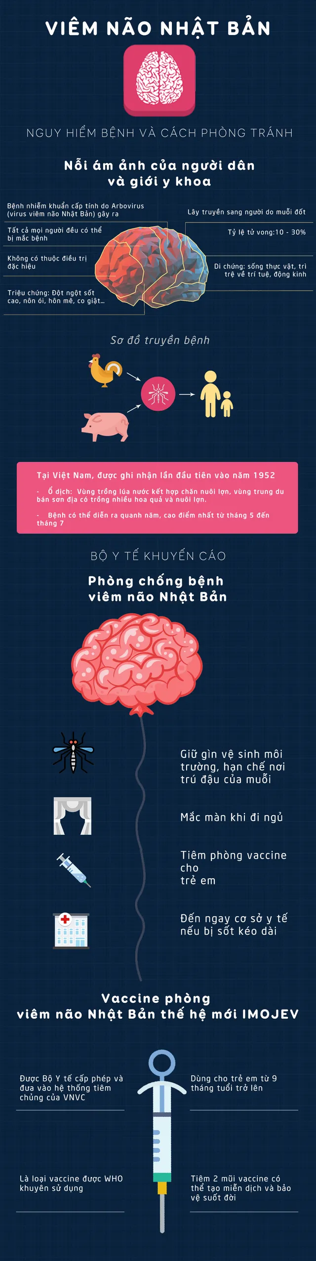 [INFOGRAPHIC] Nguy hiểm bệnh viêm não Nhật Bản và cách phòng tránh - Ảnh 1.