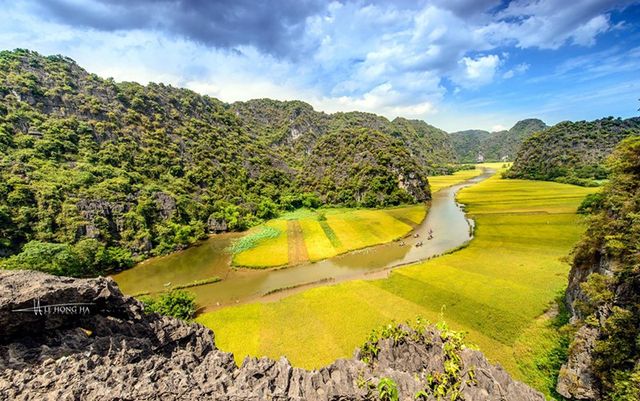 Ngắm mùa vàng Tam Cốc từ đỉnh Hang Múa - Ảnh 1.