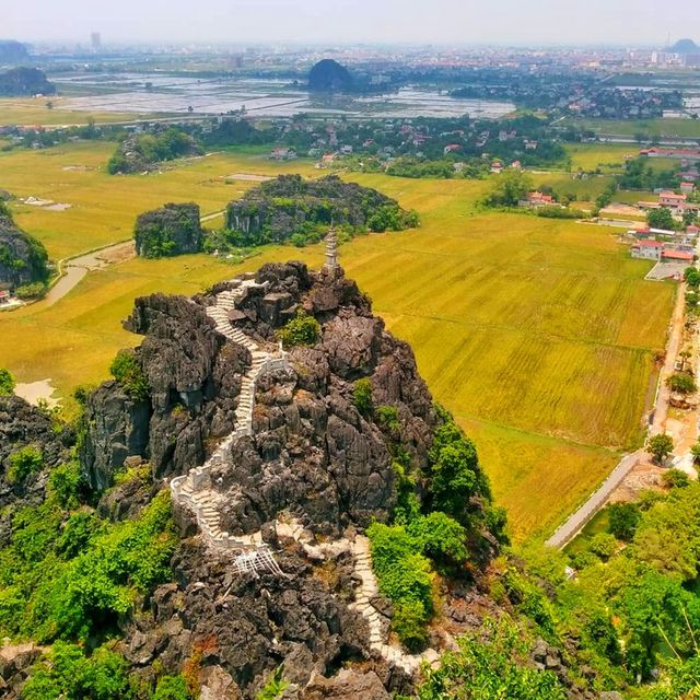 Ngắm mùa vàng Tam Cốc từ đỉnh Hang Múa - Ảnh 2.