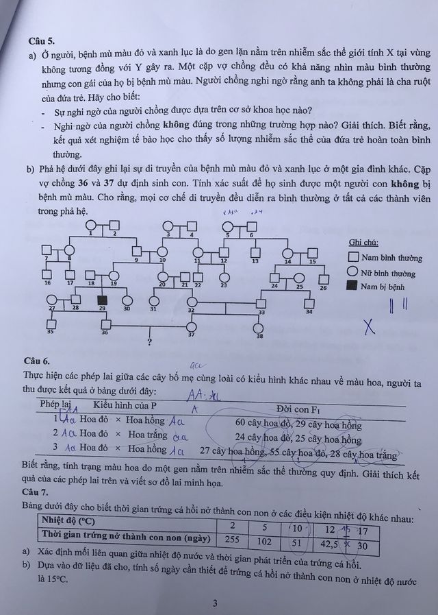 Đề thi Sinh vào lớp 10 chuyên KHTN có sự thay đổi về hình thức và độ khó - Ảnh 3.