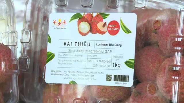 Vải thiều năm nay thơm ngon hơn vụ trước, giá tăng gấp đôi - Ảnh 3. Vải thiều năm nay thơm ngon hơn vụ trước, giá tăng gấp đôi - Ảnh 3.