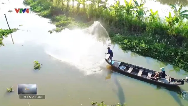 Trải nghiệm săn cá linh mùa nước nổi ở cồn Dĩa - Ảnh 1.