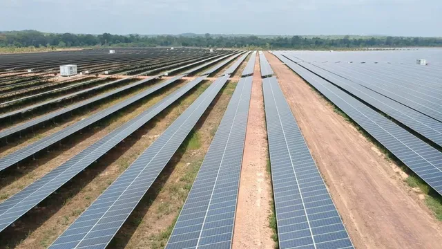 Đã mắt với cánh đồng pin mặt trời - Ảnh 2. Đã mắt với cánh đồng pin mặt trời - Ảnh 2.