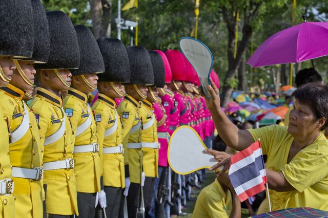 Đàn voi trắng diễu hành mừng nhà vua Thái Lan đăng cơ - Ảnh 4.