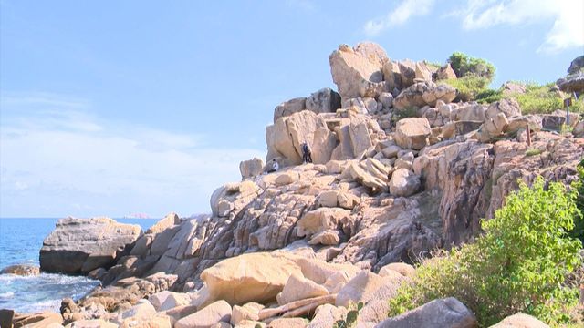 Khám phá bãi san hô cổ ở Hang Rái, Ninh Thuận - Ảnh 2.