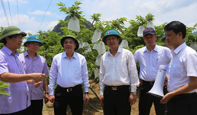 Lạng Sơn: Ứng dụng khoa học và công nghệ phát triển sản phẩm chủ lực địa phương - Ảnh 4.