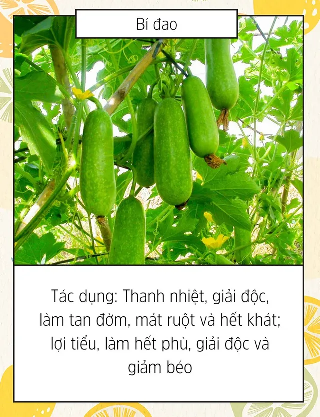 [INFOGRAPHIC] 10 thực phẩm tốt cho mùa Hè - Ảnh 10.