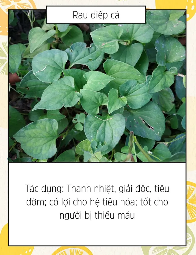 [INFOGRAPHIC] 10 thực phẩm tốt cho mùa Hè - Ảnh 1.