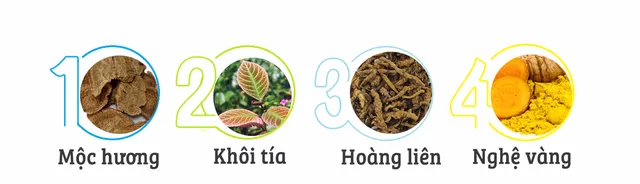TPBVSK Dạ Tràng An Khang - “Khắc tinh” của viêm loét dạ dày - Ảnh 3. TPBVSK Dạ Tràng An Khang - “Khắc tinh” của viêm loét dạ dày - Ảnh 3.