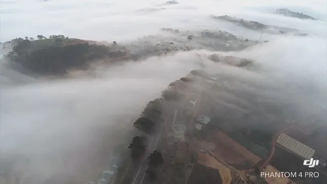 Mùa săn mây ở Đà Lạt