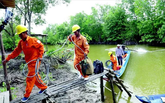 Điện lực miền Nam tri ân các thương binh, liệt sỹ