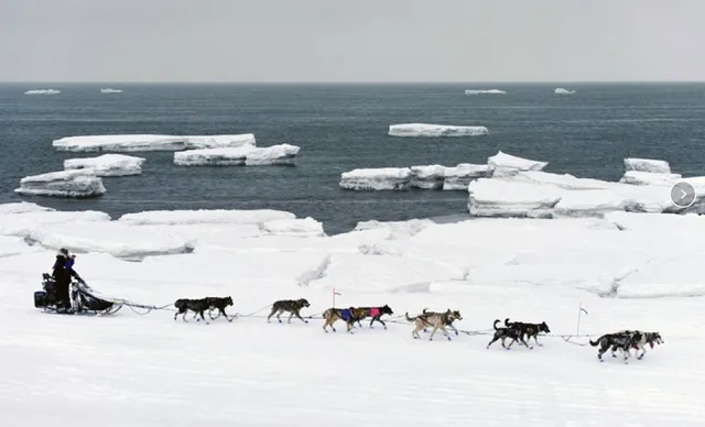 Nắng nóng bất thường tại vùng đất lạnh giá Alaska - Ảnh 1.