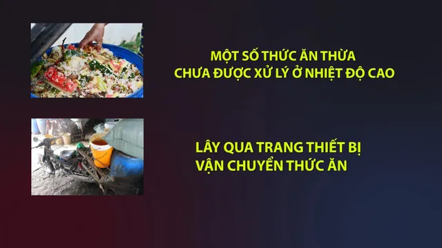 Nguy cơ tiềm ẩn lây lan dịch tả lợn châu Phi từ thức ăn thừa - Ảnh 1. Nguy cơ tiềm ẩn lây lan dịch tả lợn châu Phi từ thức ăn thừa - Ảnh 1.