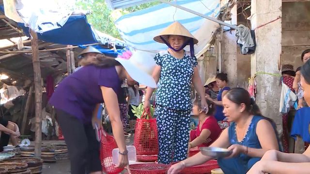 Thừa Thiên - Huế lan tỏa cuộc chiến chống rác thải nhựa - Ảnh 1.