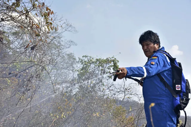 Tổng thống Bolivia tham gia chữa cháy rừng - Ảnh 1.