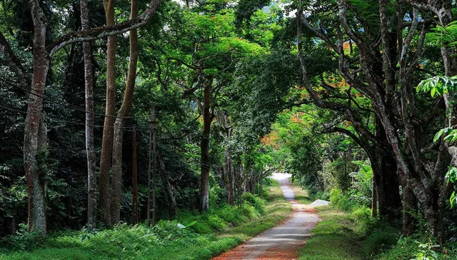 Chẳng cần đi đâu xa, Hà Nội cũng có những nơi lý tưởng để tận hưởng trọn vẹn kỳ nghỉ lễ 2/9 - Ảnh 8.