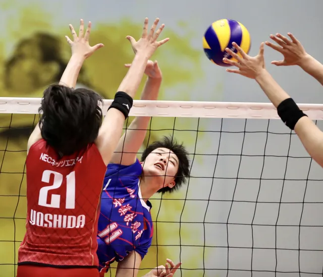 VTV Cup 2019: Thắng thuyết phục Phúc Kiến (Trung Quốc), NEC (Nhật Bản) sớm giành vé vào chung kết - Ảnh 1.