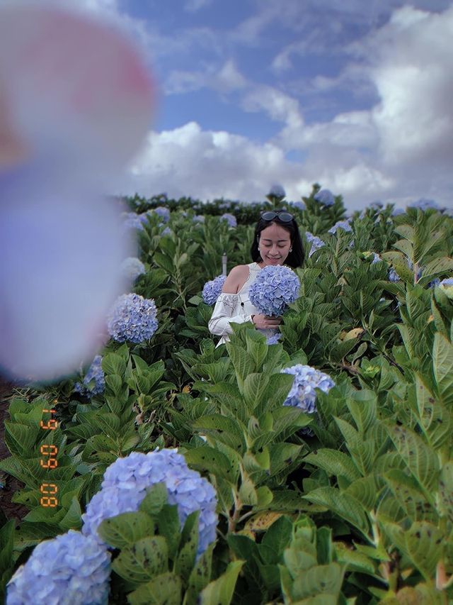 MC Phí Linh: Bầu bí là khoảng thời gian sung sướng nhất từ trước đến nay - Ảnh 6.