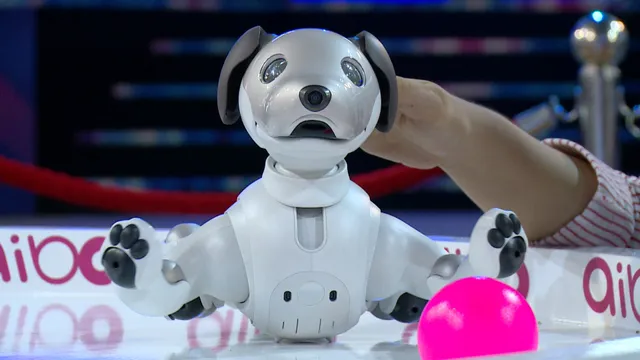 Xem chú chó robot Aibo trổ tài