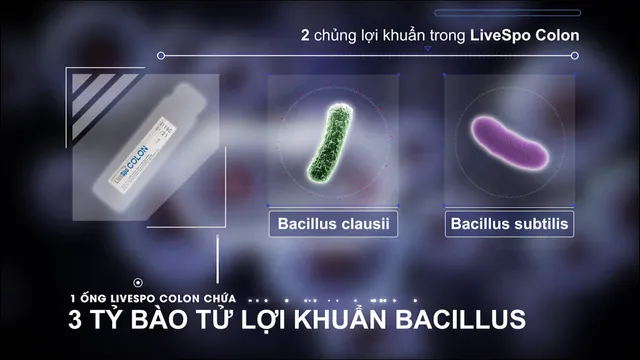 Bào tử lợi khuẩn Dr. ANH mở ra hướng đi mới trong việc bảo vệ sức khỏe đường tiêu hóa - Ảnh 3.