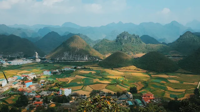 Sắc vàng hoa cải sưởi ấm Hà Giang ngày đông - Ảnh 3.