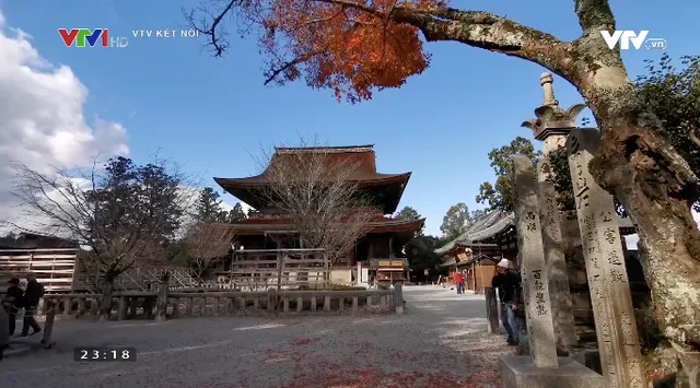 Sự khởi nguồn của Nhật Bản: Khám phá văn hoá, lịch sử và cảnh sắc thiên nhiên tươi đẹp của vùng đất Nara - Ảnh 5.
