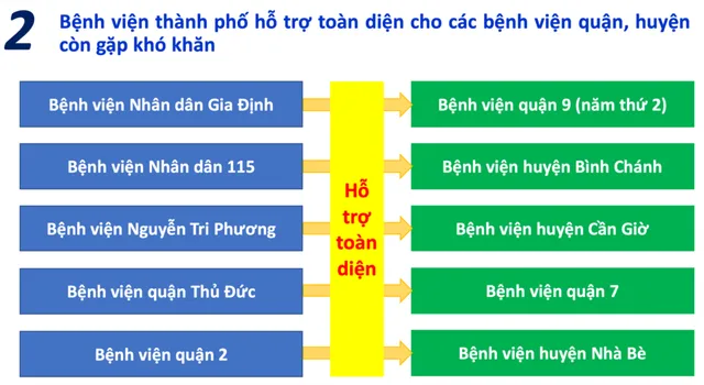 10 hoạt động khám, chữa bệnh nổi bật trong năm 2019 của TP.HCM - Ảnh 2.