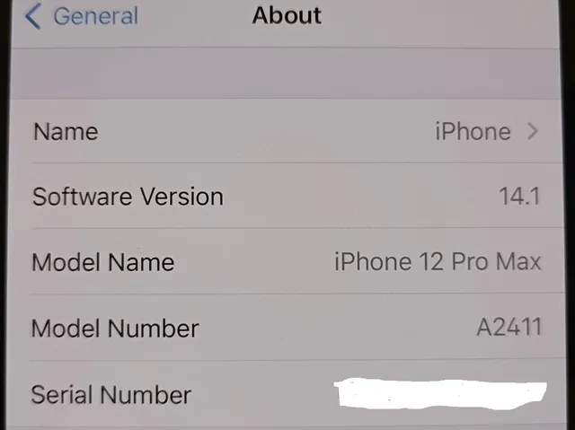 iPhone 12 Pro Max bất ngờ lộ diện tại Việt Nam trước ngày lên kệ - Ảnh 1.