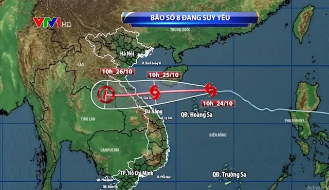 bao-so-8-1 bao-so-8-1