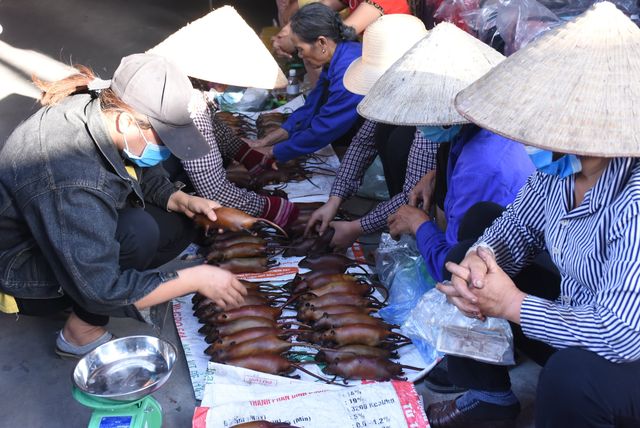 Làng bắt chuột Hải Dương vào mùa đắt hàng - Ảnh 2.