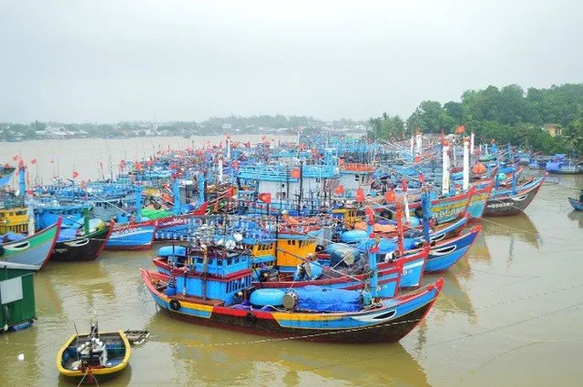
Quang Ngais fishing boats come ashore to avoid Storm Molave. (Photo: NDO/Hien Cu)
