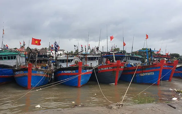 
Boats in safe anchorage in Hoang Mai Town, Nghe An Province. (Photo: NDO/Thanh Chau)

