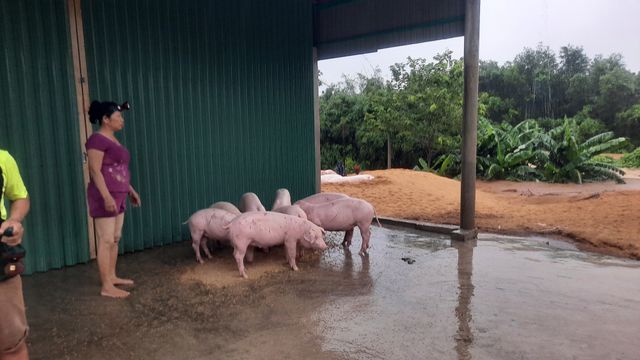 Mưa lũ nhấn chìm nhiều khu vực tại Quảng Trị - Ảnh 2.