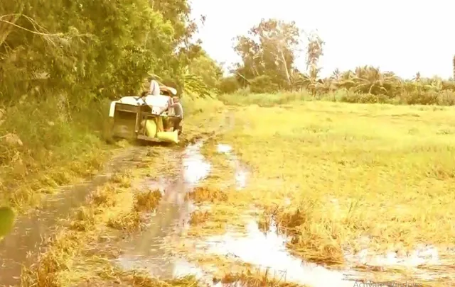 Nông dân oằn mình cứu lúa ngập mùa lũ - Ảnh 1. Nông dân oằn mình cứu lúa ngập mùa lũ - Ảnh 1.